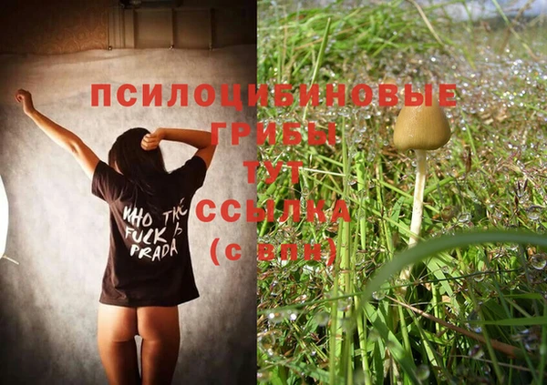 амф Белая Холуница