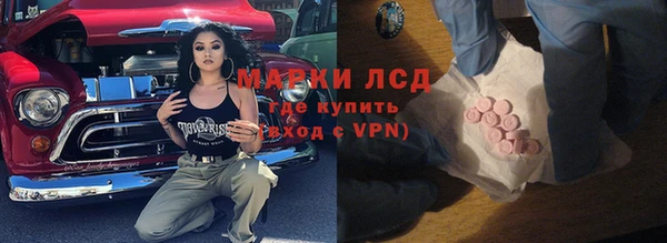 ПСИЛОЦИБИНОВЫЕ ГРИБЫ Билибино